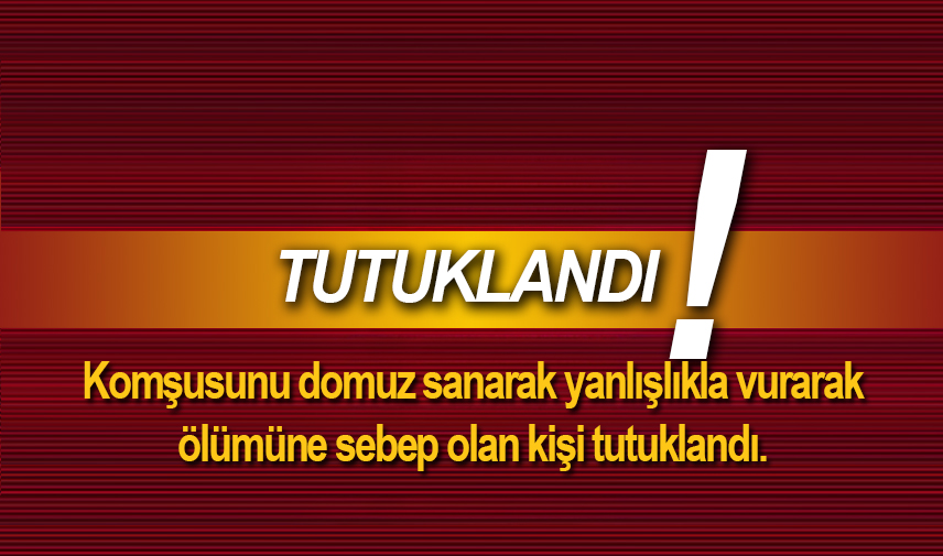 Komşusunu domuz sanarak vuran şahıs tutuklandı